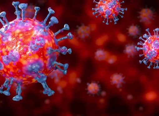 Le coronavirus peut-il se transmettre par des rapports sexuels ?